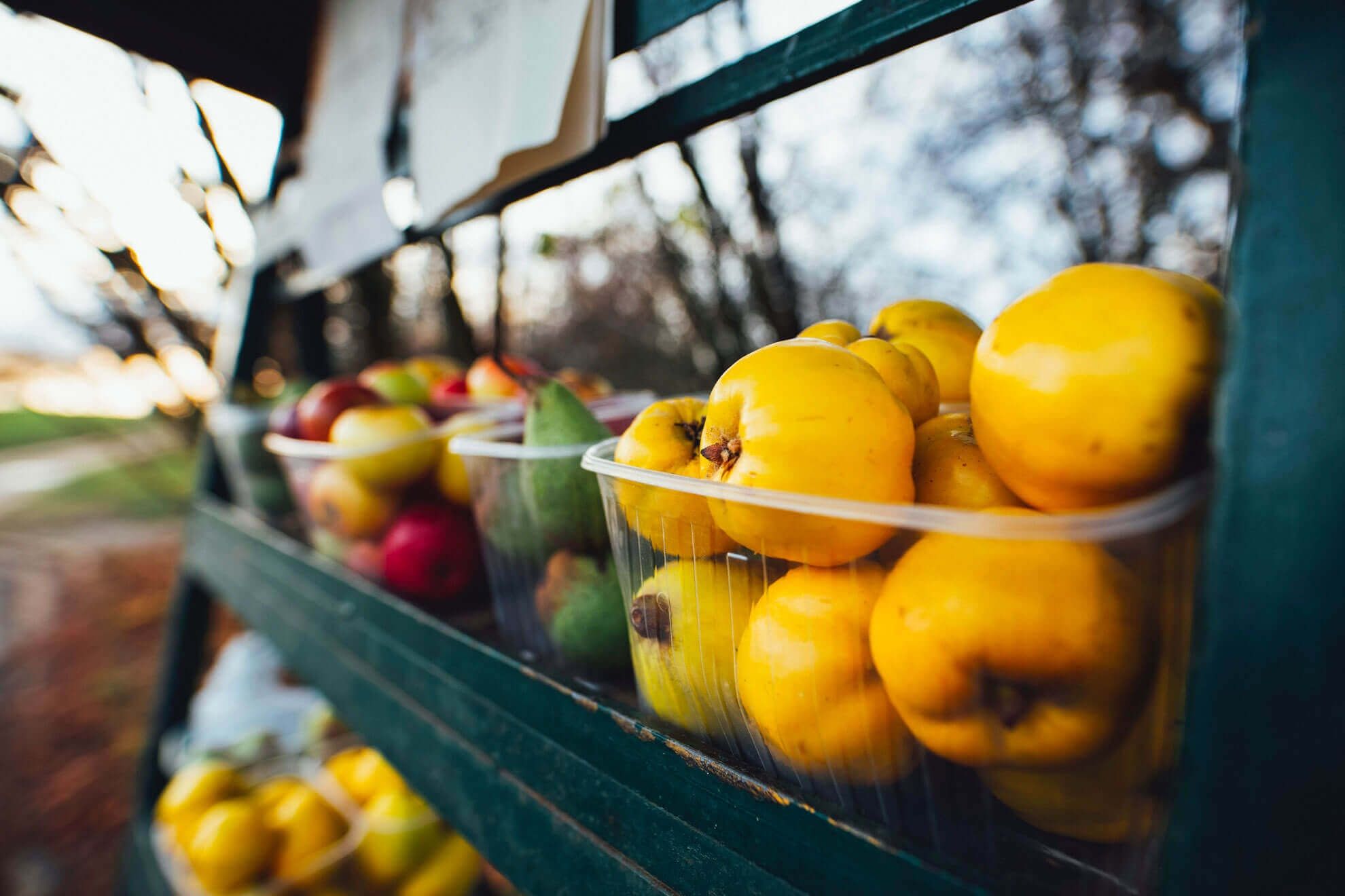 Rayon fruits bio du magasin Uni’vers Bio à Golbey