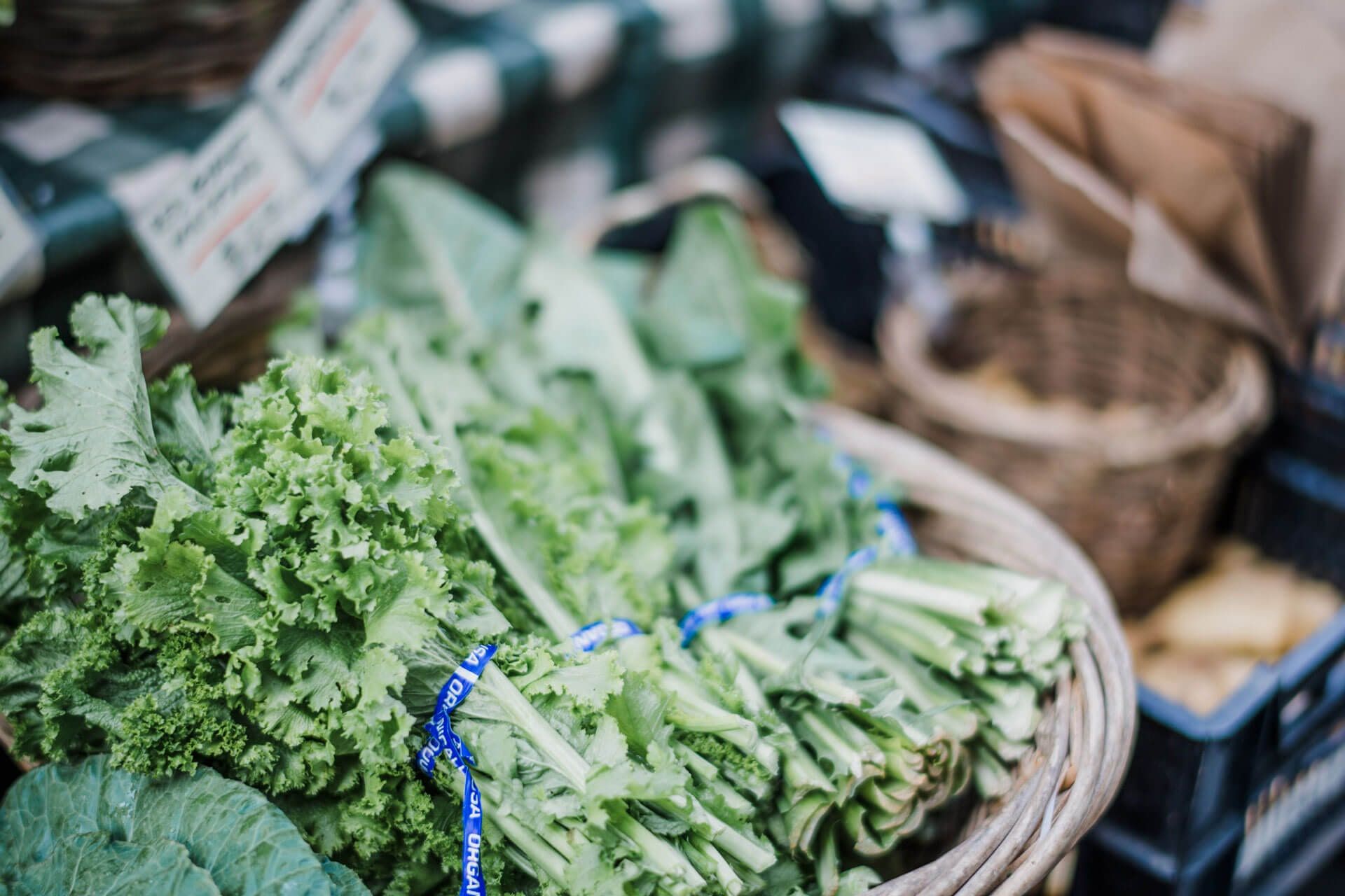Légumes verts bio fraîchement livrés au magasin Uni’vers Bio